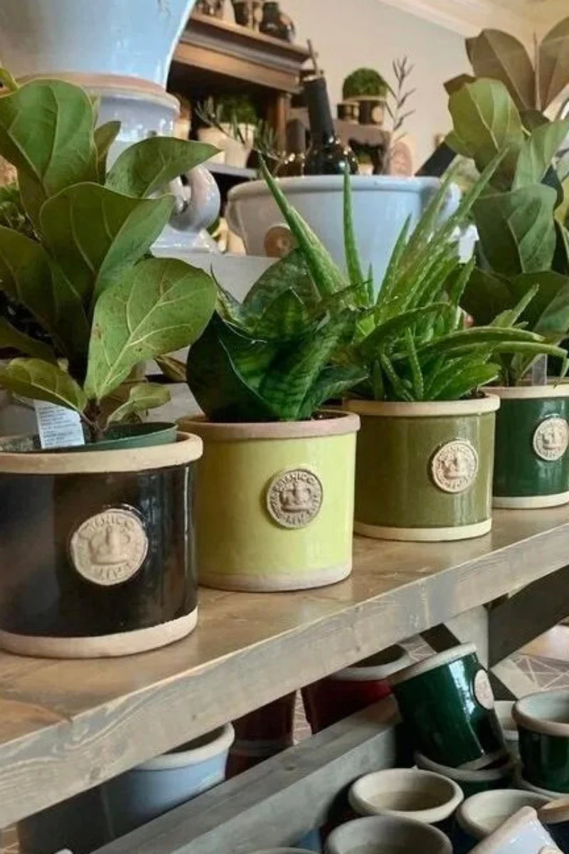 Chelsea Kew Round Herb Planter 4" Lime