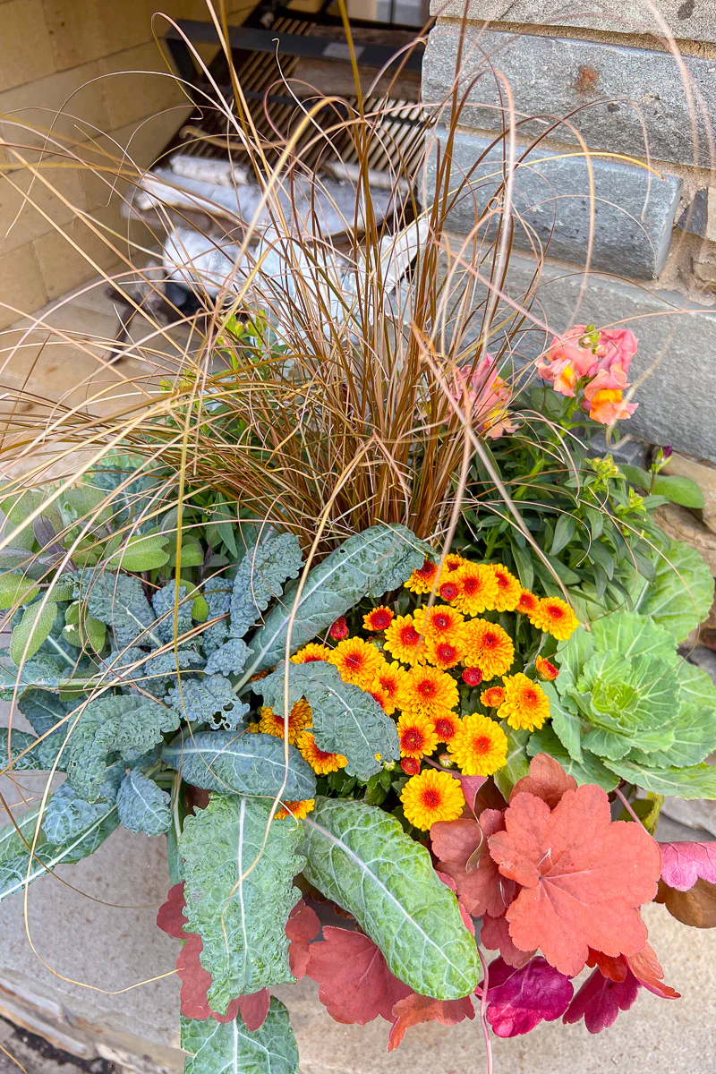 Chalet Signature | Fall | Farmhouse - Image 2