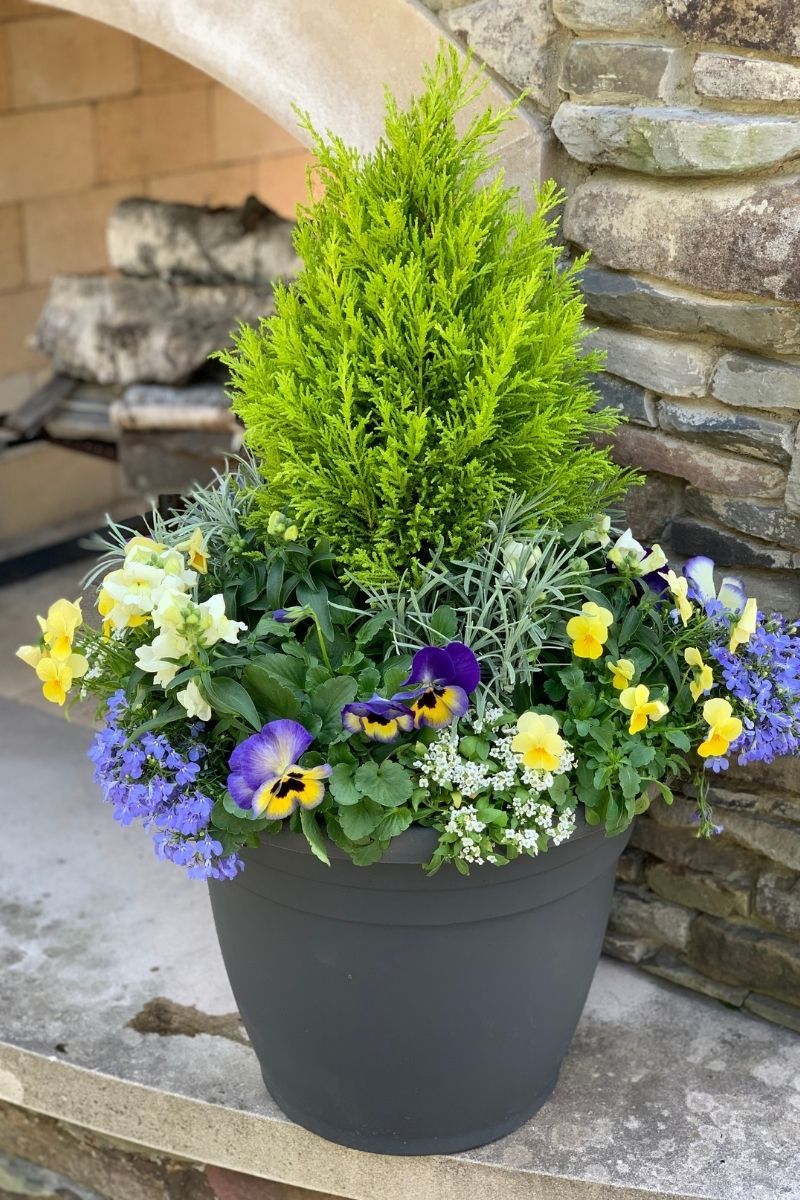 Chalet Signature | Outdoor | Spring Classic & Fresh - Image 4
