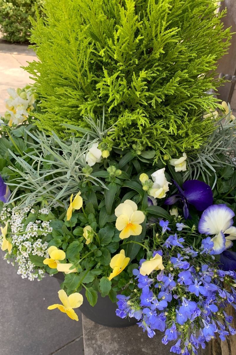 Chalet Signature | Outdoor | Spring Classic & Fresh - Image 5