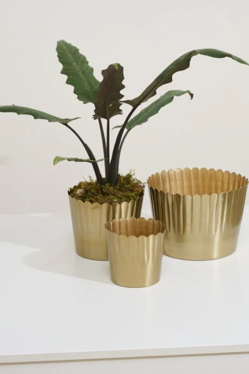 Delicata Pot 7.5"x 6" Gold