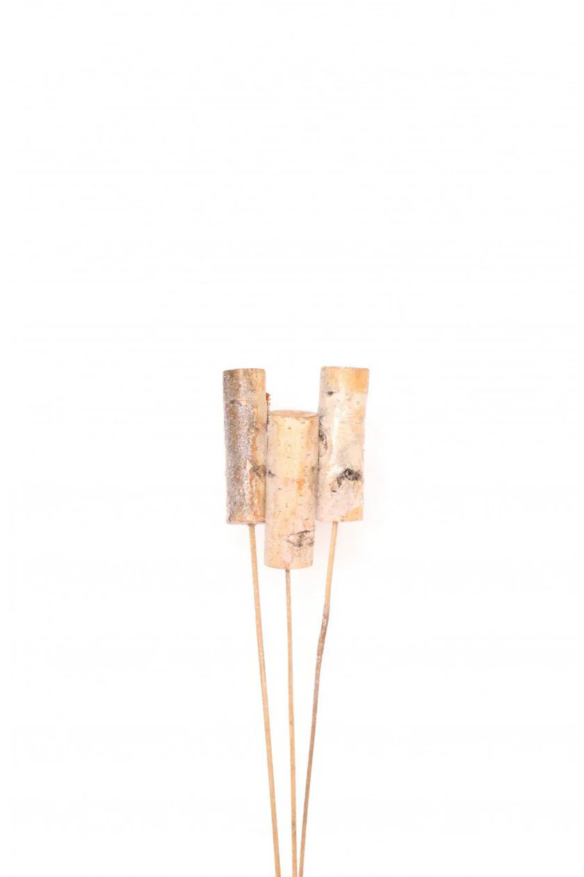 Dried Birch Spike 3 Stem Natural