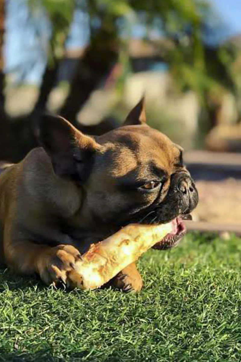 Earth Animal No-Hide Peanut Butter Roll Small