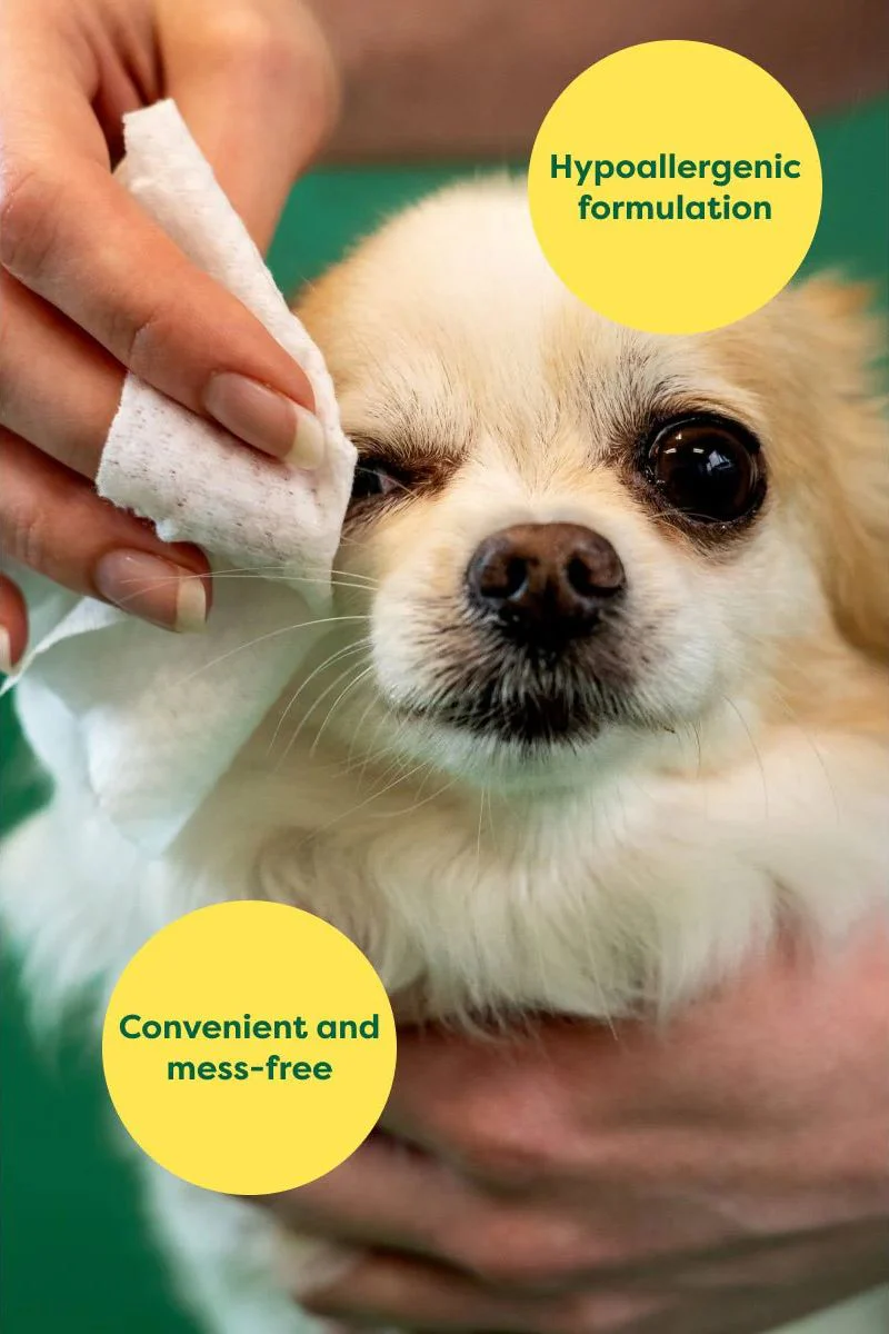 Earth Rated Dog Eye Wipes 60 Count - Image 3