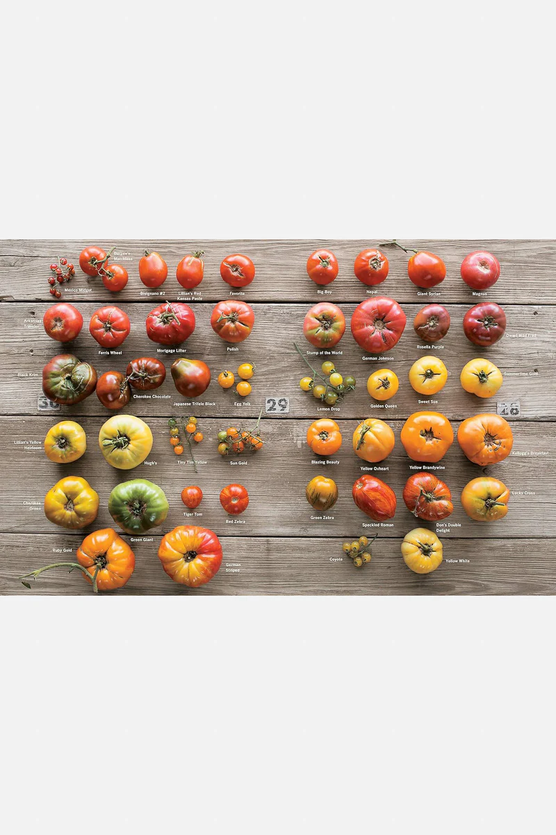 Epic Tomatoes: How to Select and Grow the Best Varieties of All Time - Image 2