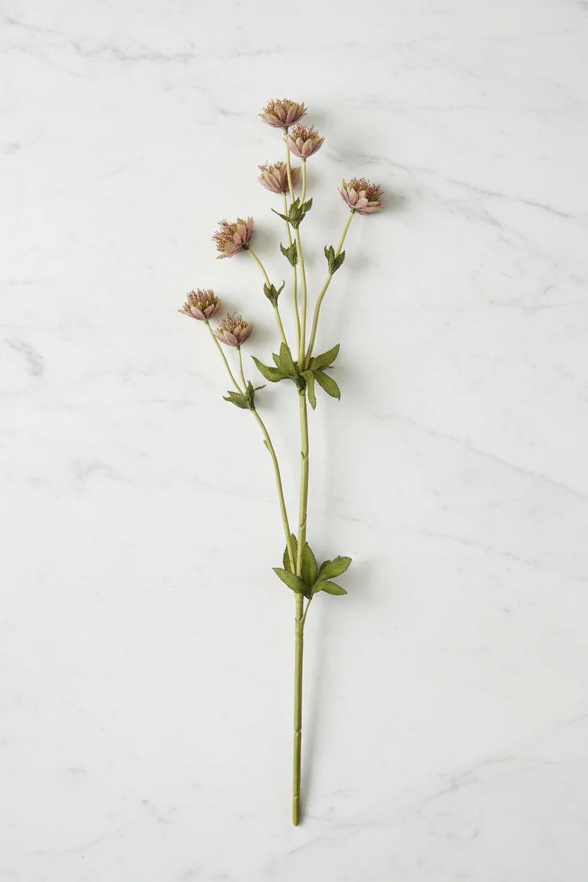 Faux Astrantia Spray 23" Mauve & Green