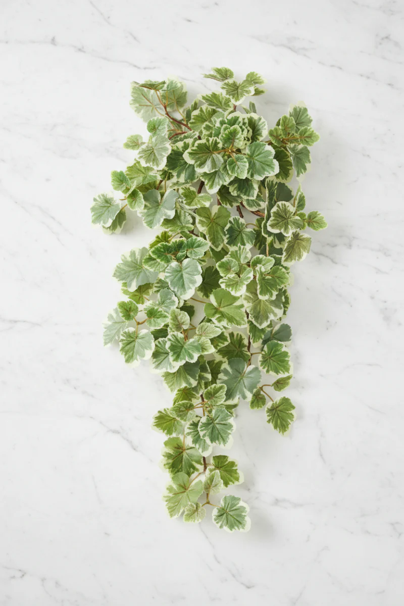 Faux Balfour Aralia Hanging Bush 28" Green Variegated