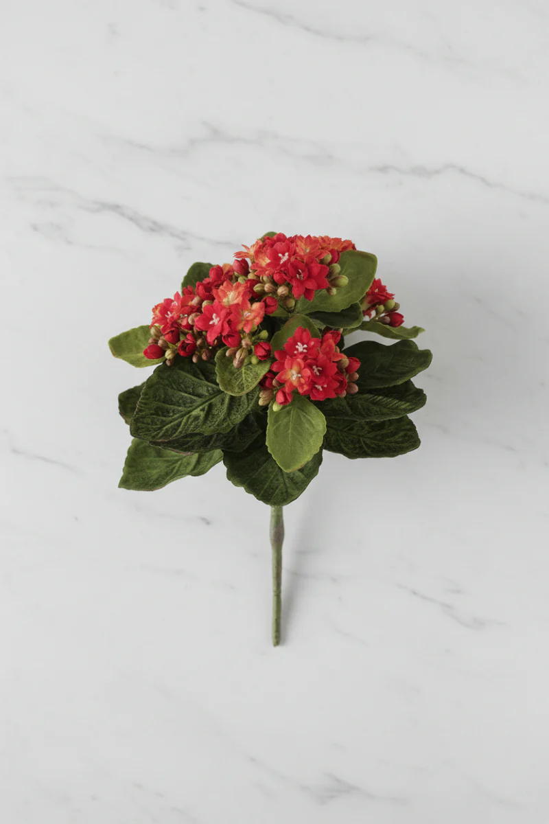 Faux Mini Kalanchoe Bush 9" Red