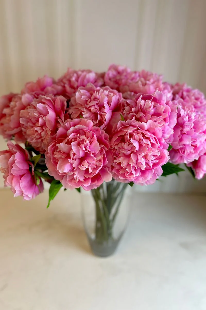 Faux Peony Stem 26" Pink