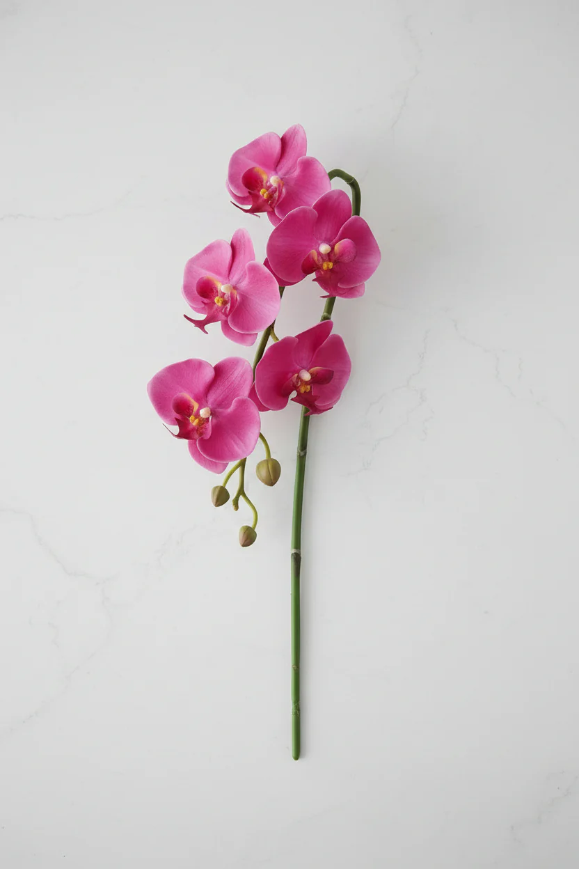 Faux Phalaenopsis Spray 36" Orchid Two Tone