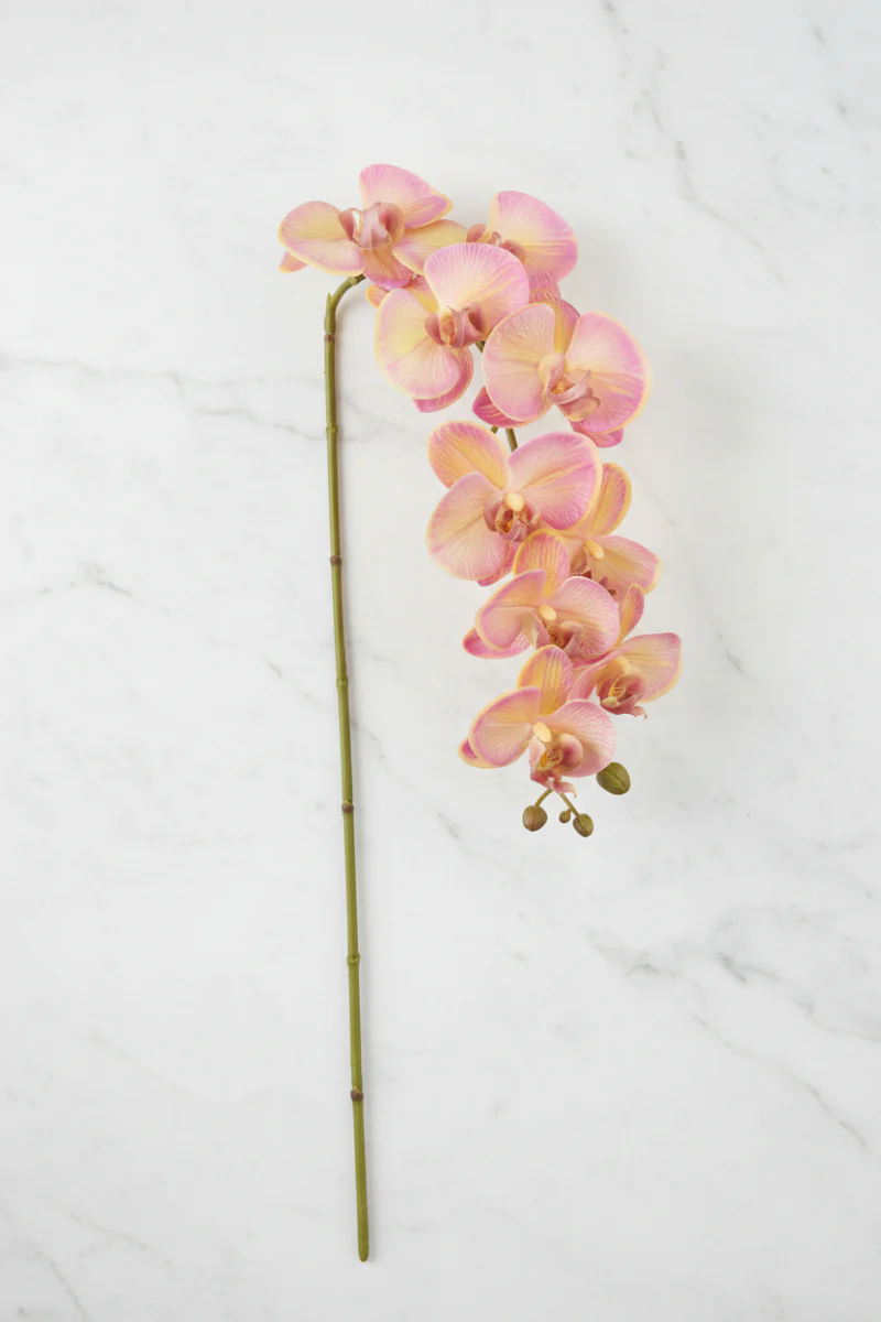 Faux Phalaenopsis Spray 38" Yellow & Fuchsia