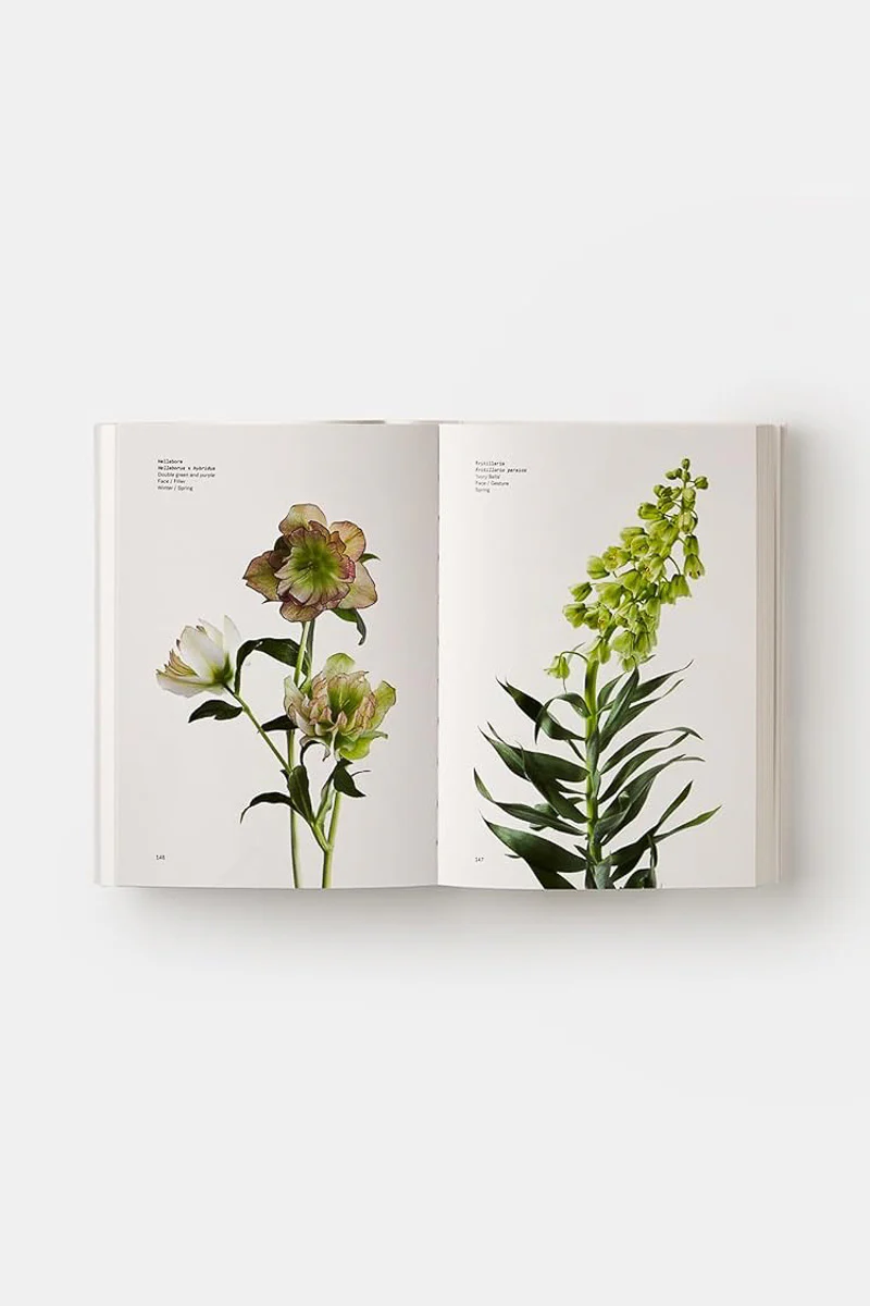 Flower Color Guide - Image 2