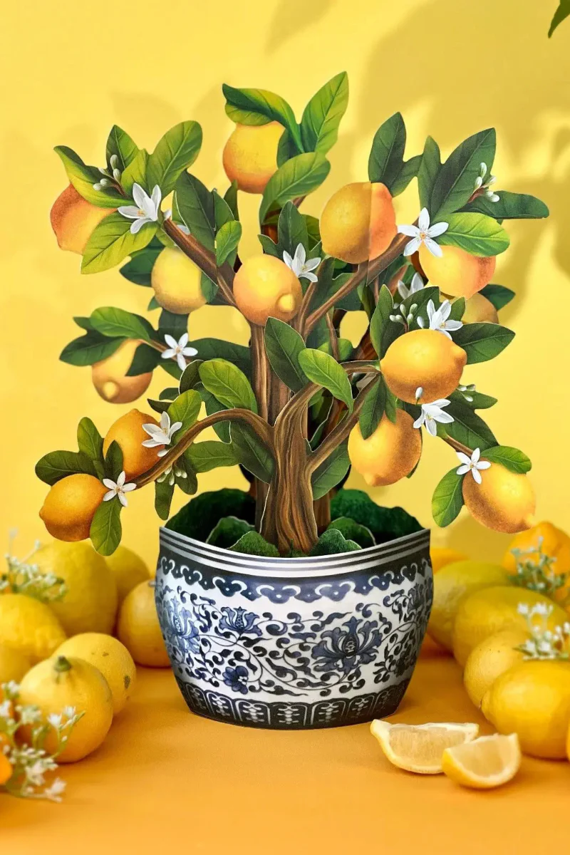 FreshCut Paper Lemon Blossom Tree