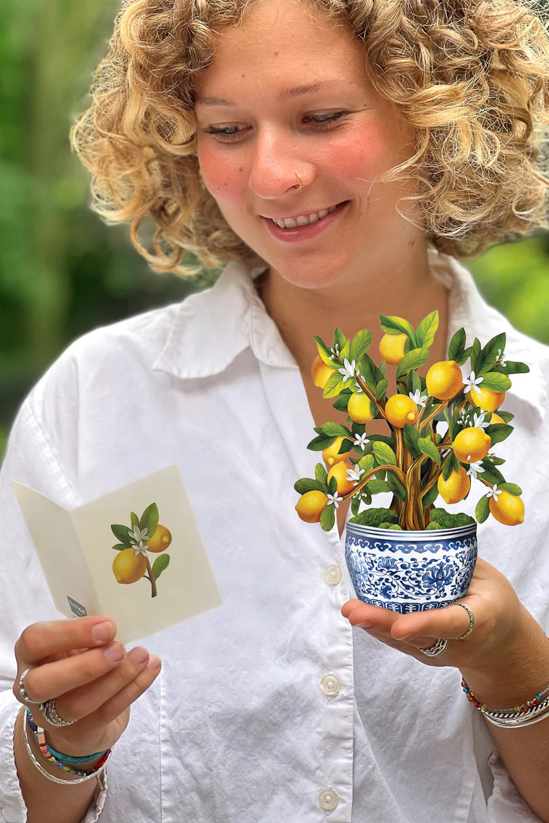 FreshCut Paper Mini Lemon Tree