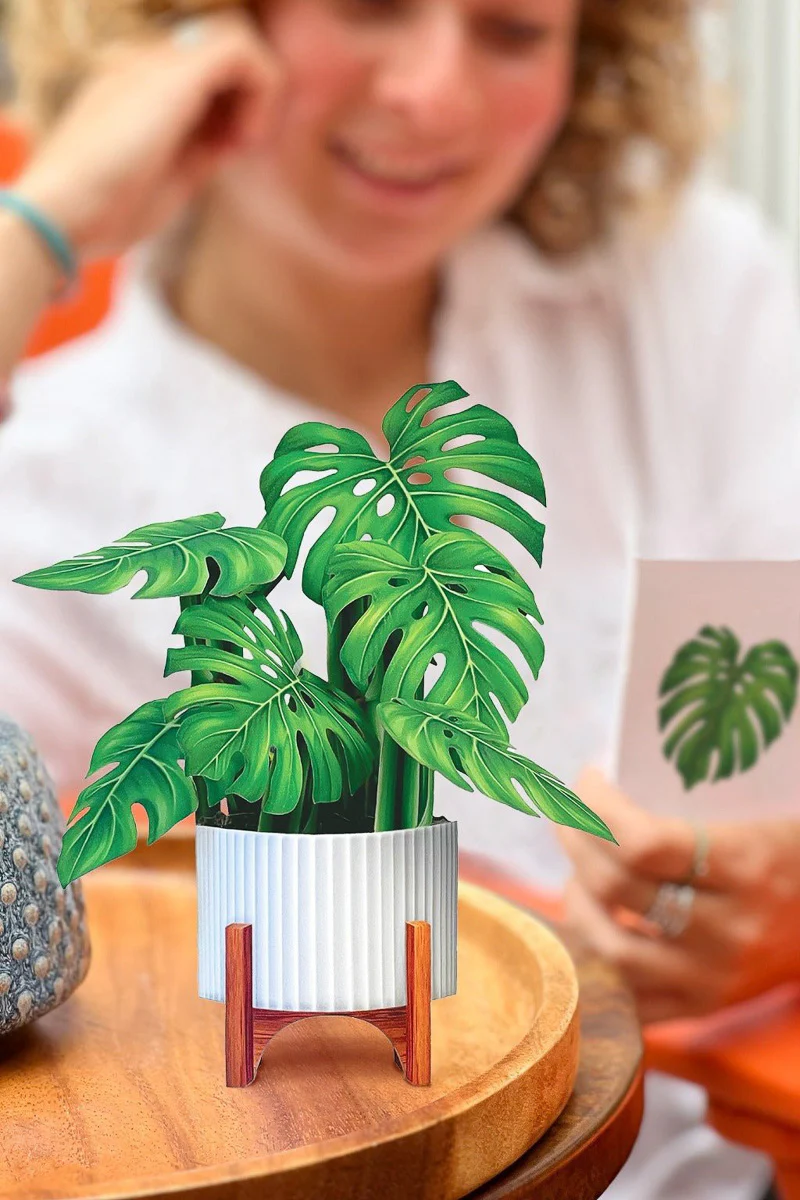 FreshCut Paper Mini Monstera - Image 2