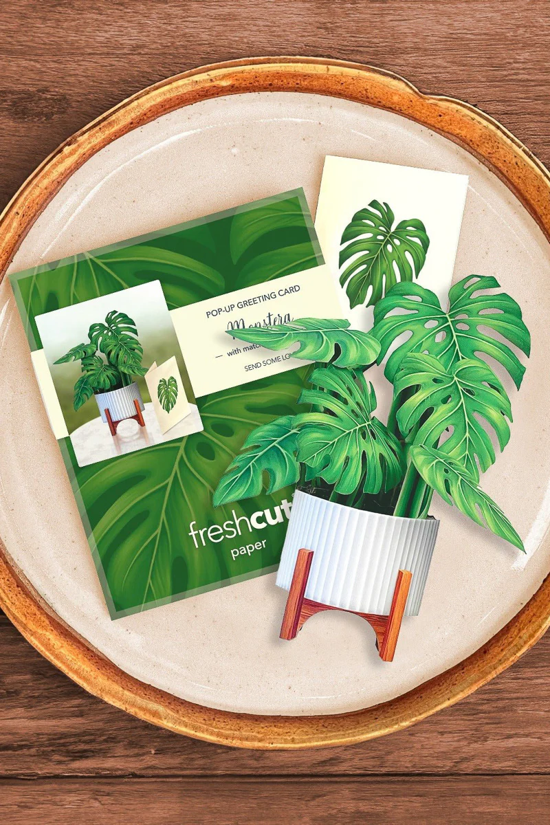 FreshCut Paper Mini Monstera - Image 3