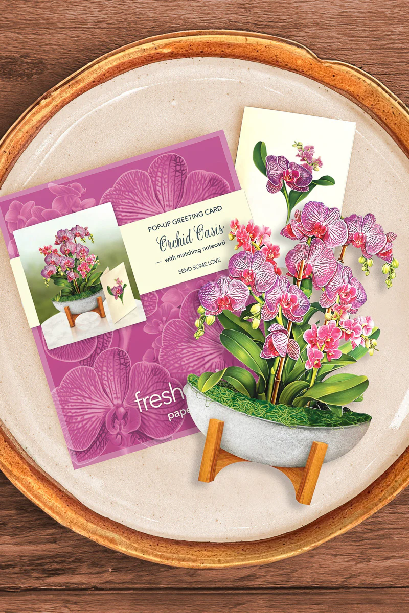 FreshCut Paper Mini Orchid Oasis - Image 3