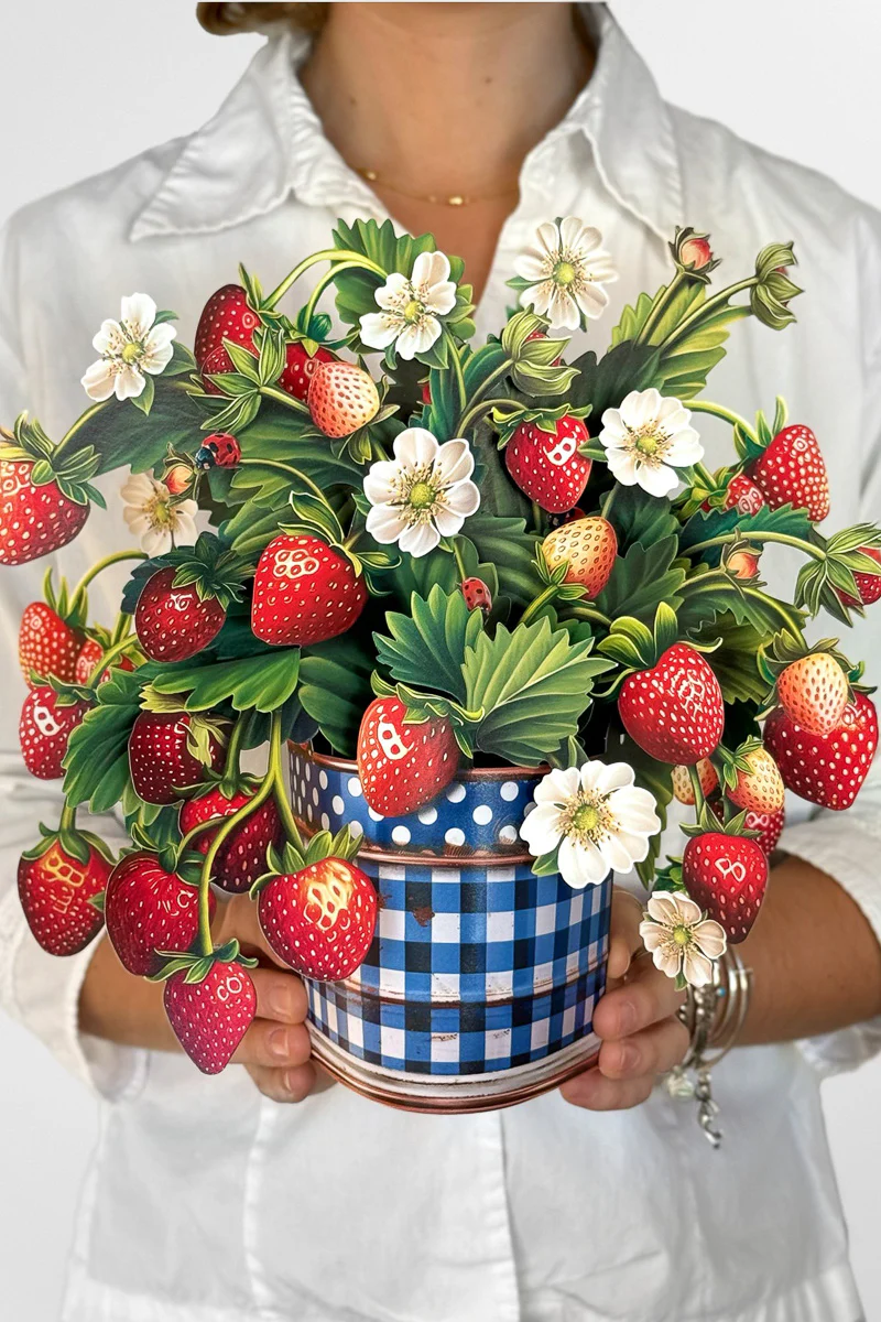 FreshCut Paper Strawberry Blossoms - Image 2