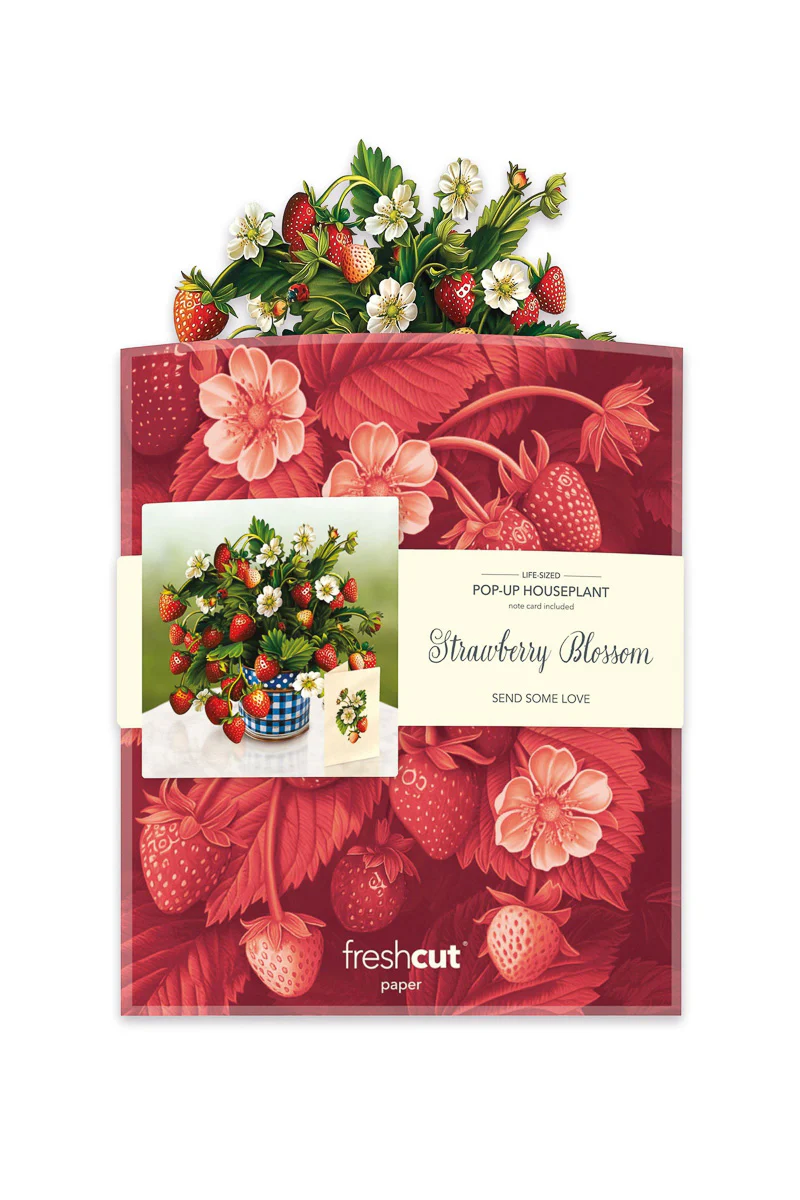 FreshCut Paper Strawberry Blossoms - Image 3