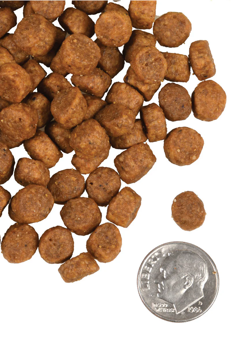 Fromm Heartland Gold Puppy 4 lb - Image 2