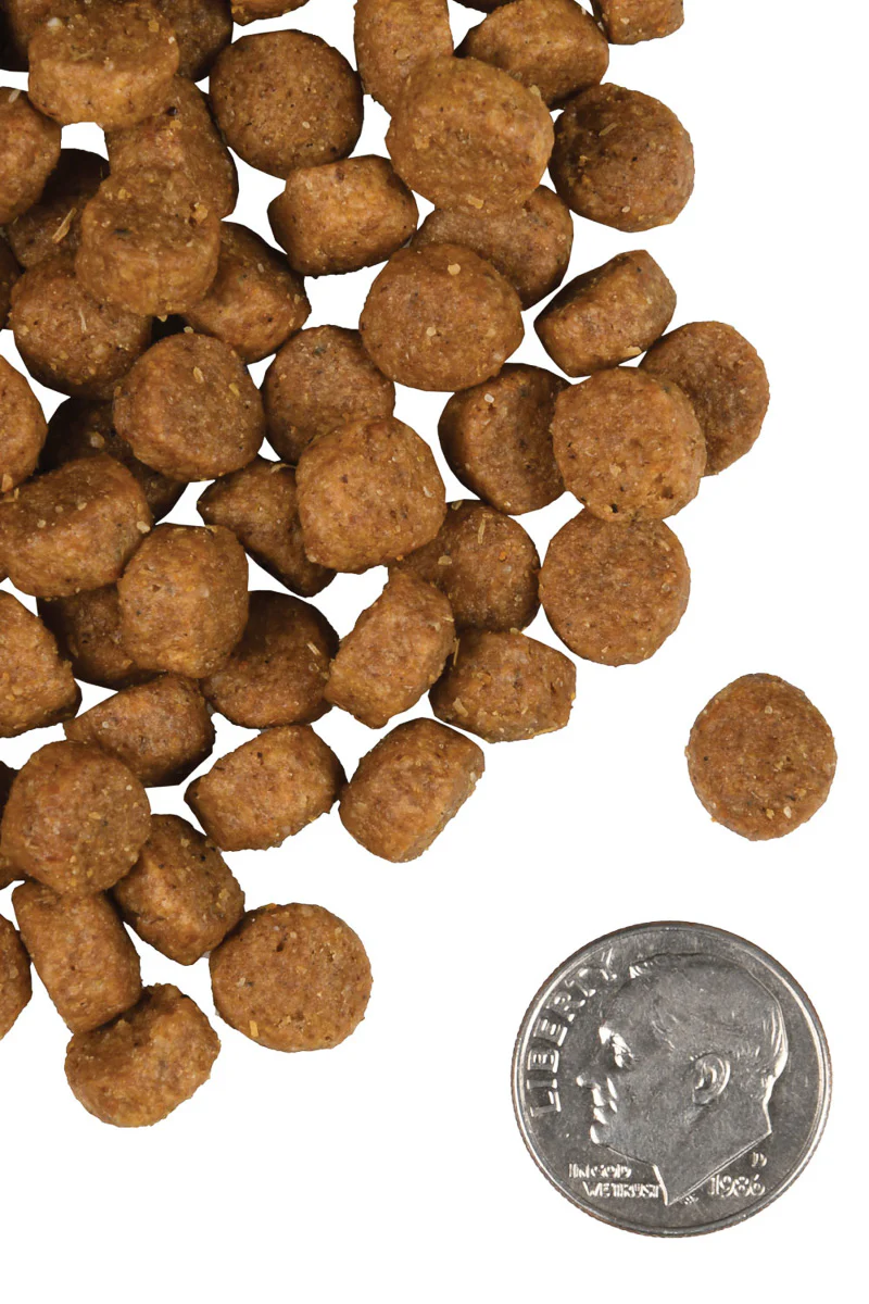 Fromm Small Breed Adult Gold 5 lb - Image 2