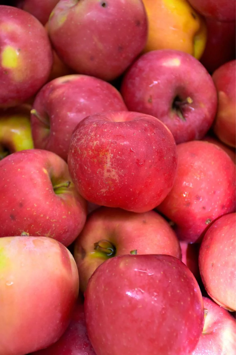 Fruit, Apple Red Fuji
