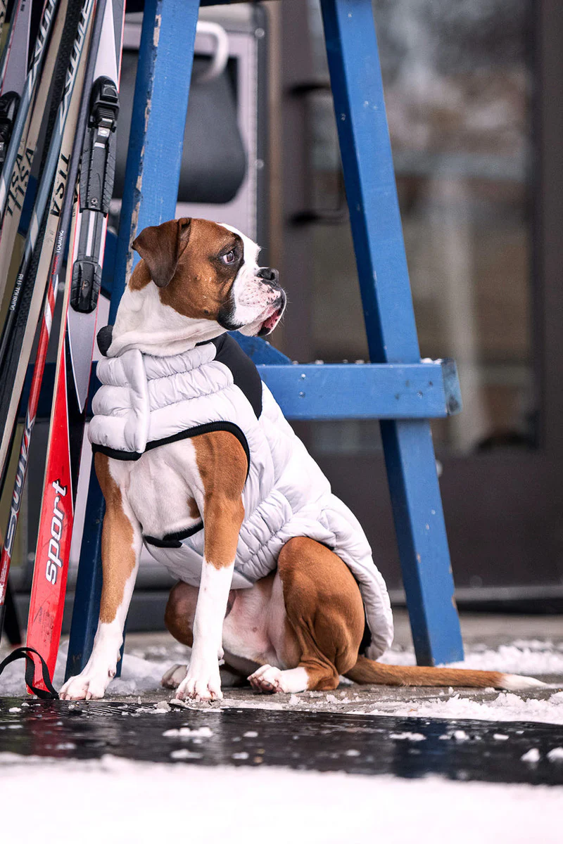 GF Pet Diamond Puffer Coat 2XL Grey