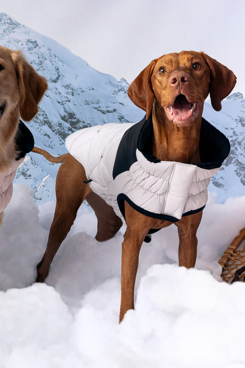 GF Pet Diamond Puffer Coat M Grey