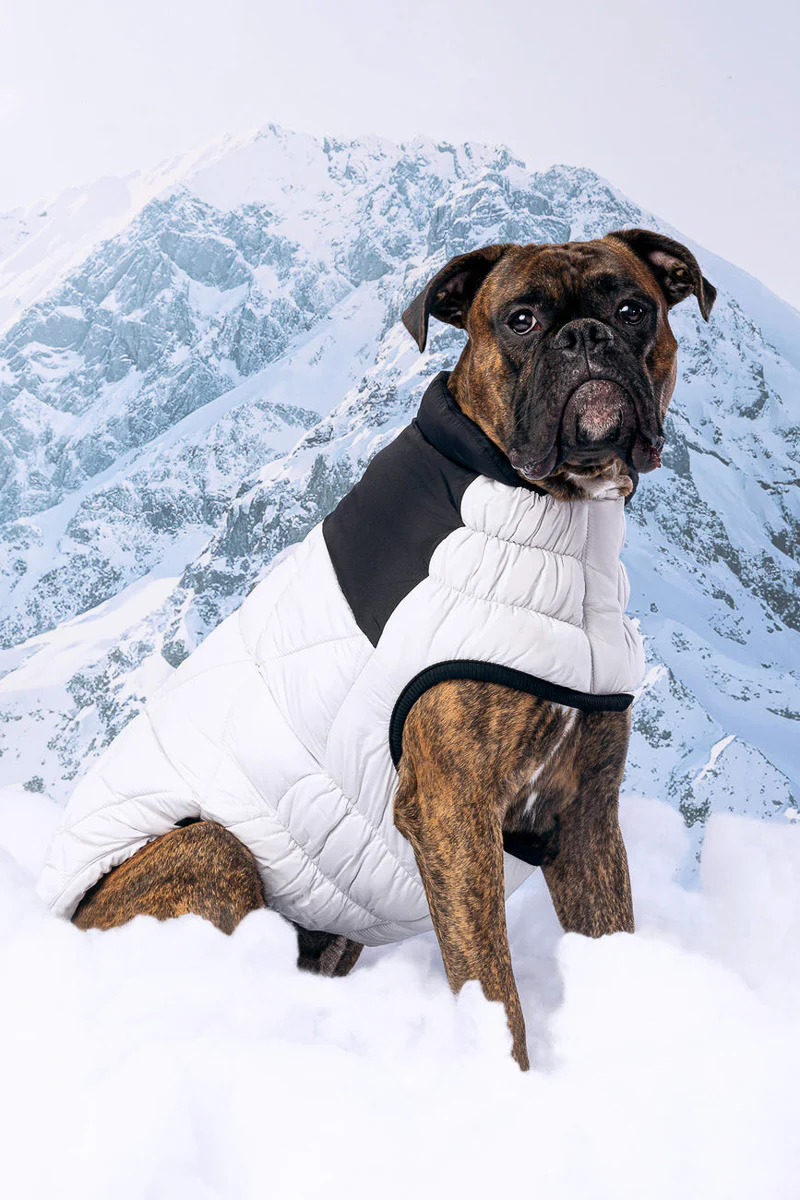 GF Pet Diamond Puffer Coat XL Grey