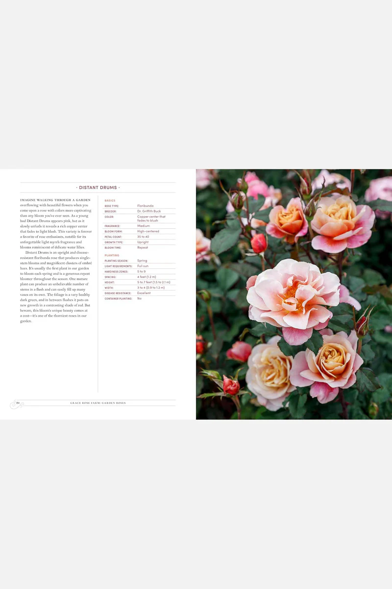 Grace Rose Farm: Garden Roses: The Complete Guide to Growing & Arranging Spectacular Blooms - Image 2
