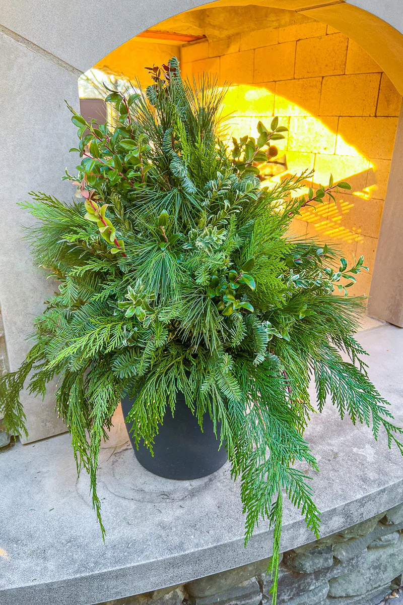 Holiday Pot, Greens 18"