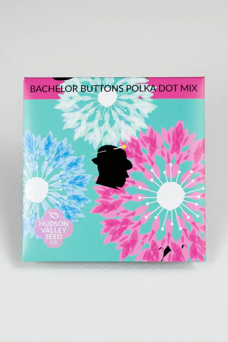 Hudson Valley Seed Co. Bachelor Button Polka Dot Mix Seeds