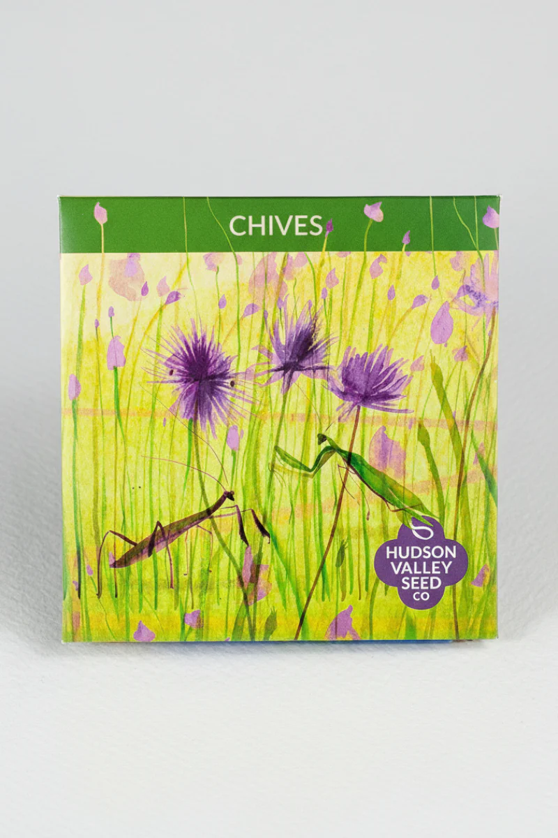 Hudson Valley Seed Co. Chive Seeds