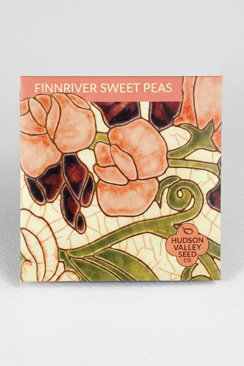 Hudson Valley Seed Co. Finnriver Sweet Pea Seeds