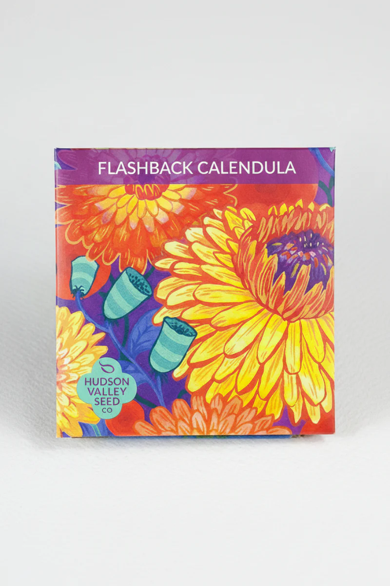 Hudson Valley Seed Co. Flashback Calendula Mix Seeds
