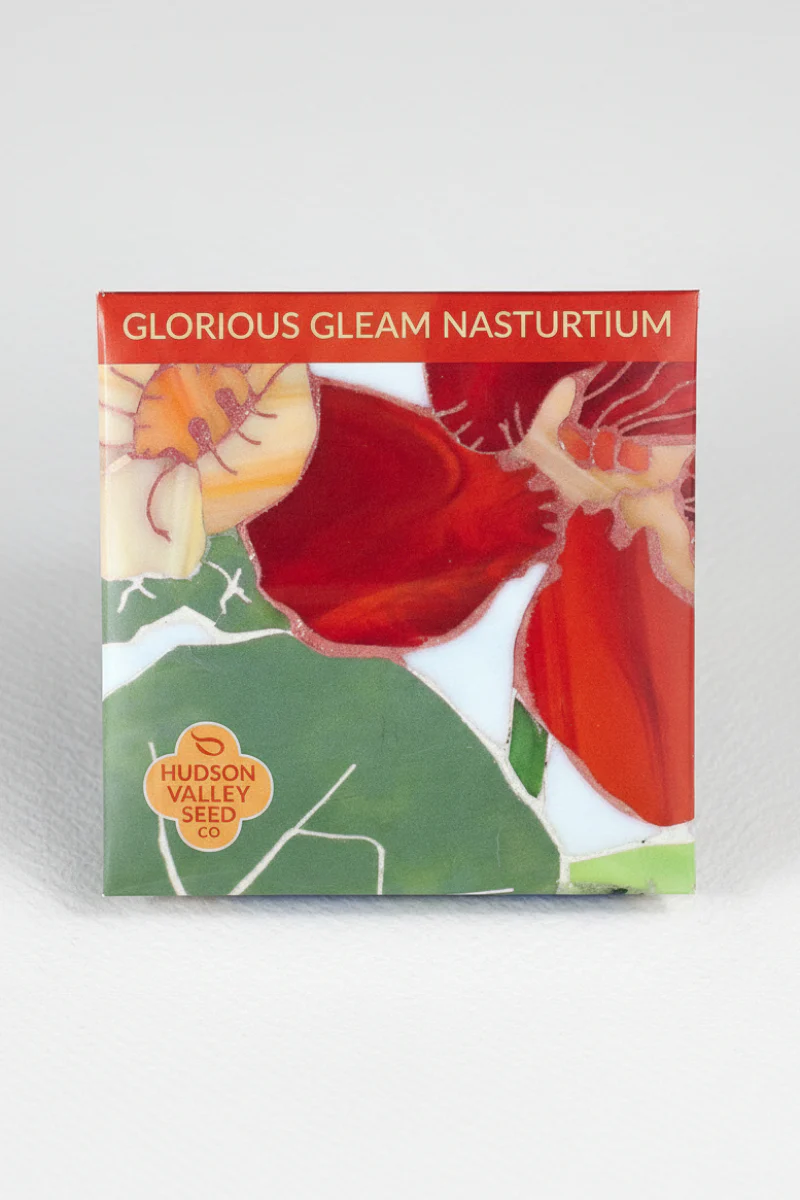 Hudson Valley Seed Co. Glorious Gleam Nasturtium Seeds