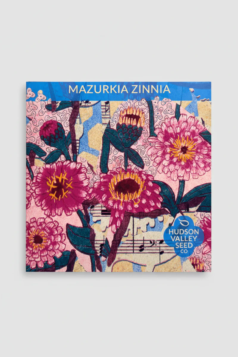 Hudson Valley Seed Co. Mazurkia Zinnia Seeds
