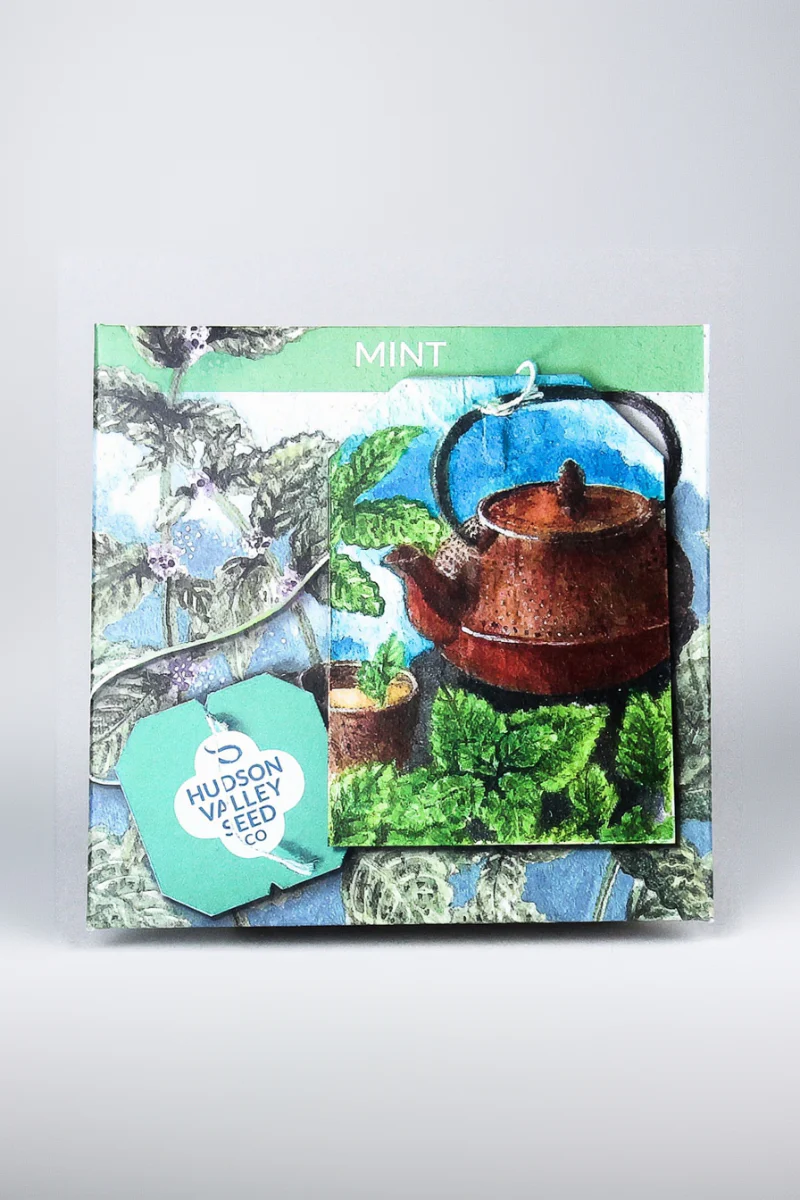 Hudson Valley Seed Co. Mint Seeds