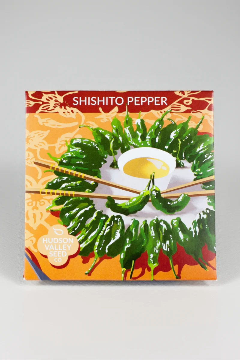 Hudson Valley Seed Co. Shishito Pepper Seeds