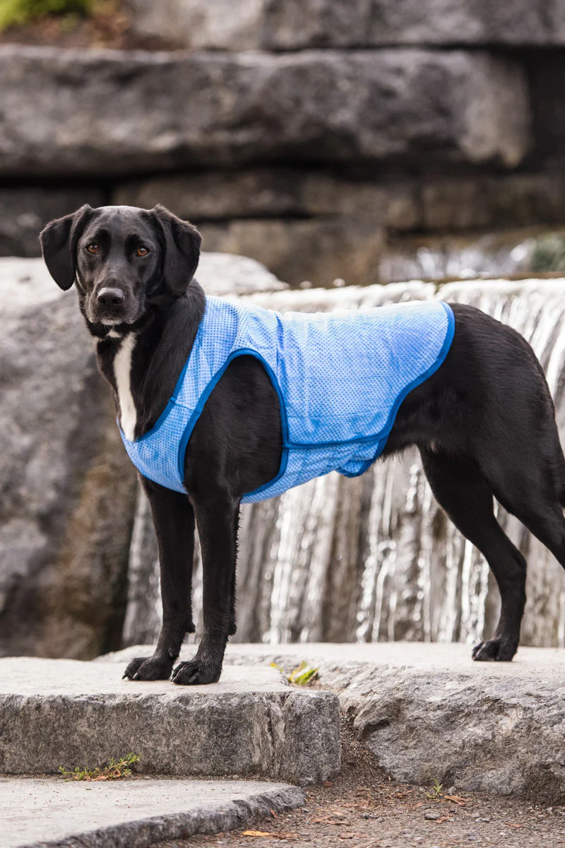 GF Pet Ice Vest XS