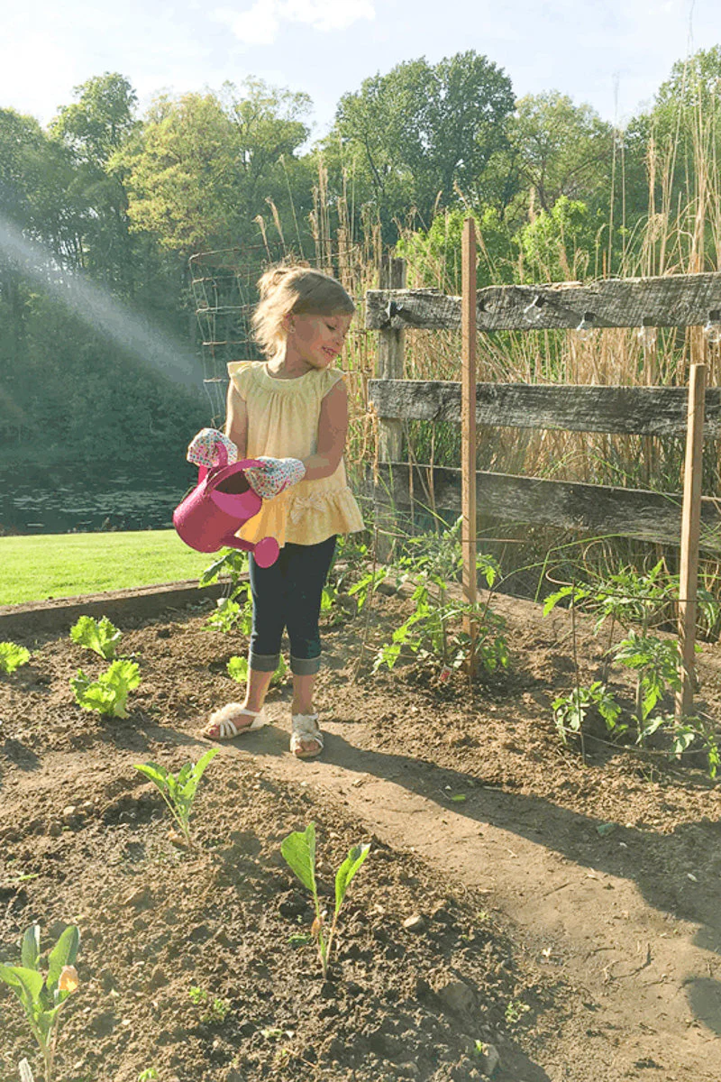 Little Pals Pink Watering Can Kit - Image 3