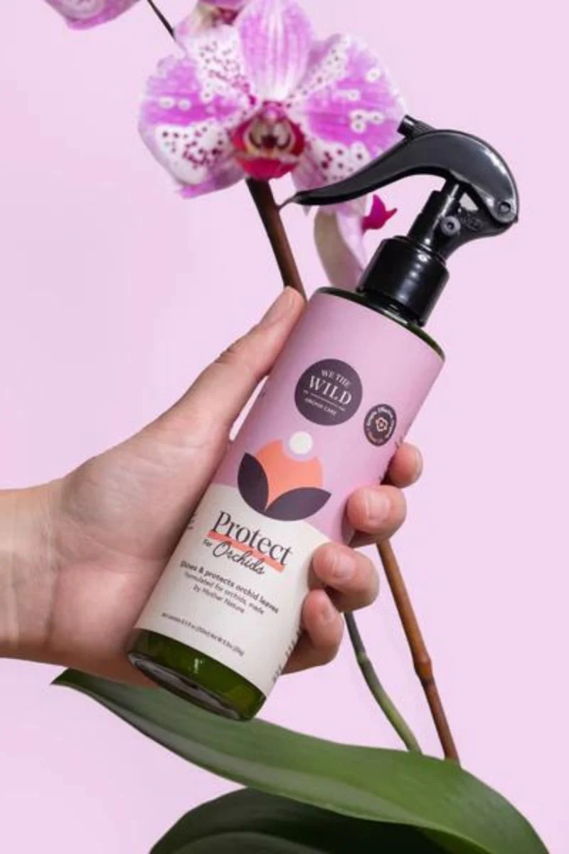 We The Wild Orchid Essentials Kit - Image 3