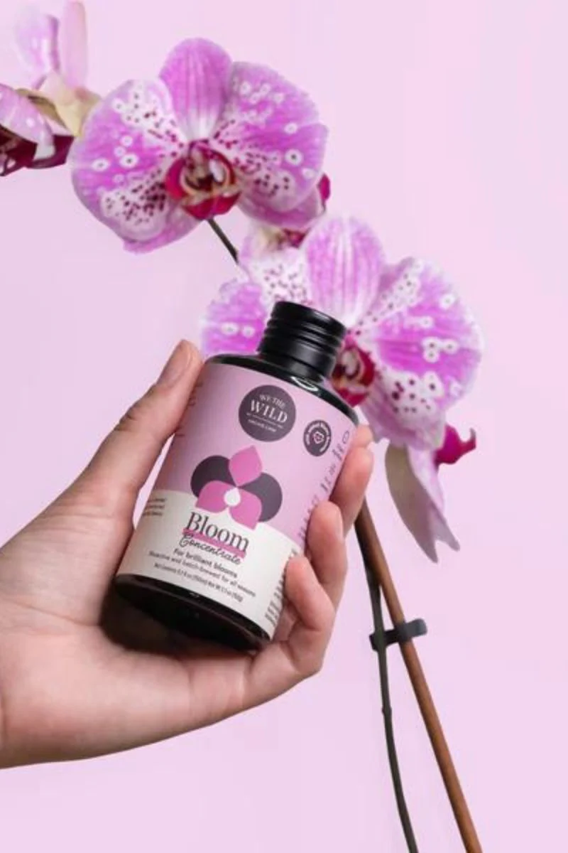 We The Wild Orchid Essentials Kit - Image 4