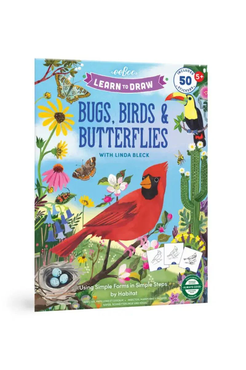 Learn to Draw Bugs, Birds, & Butterflies With Stickers