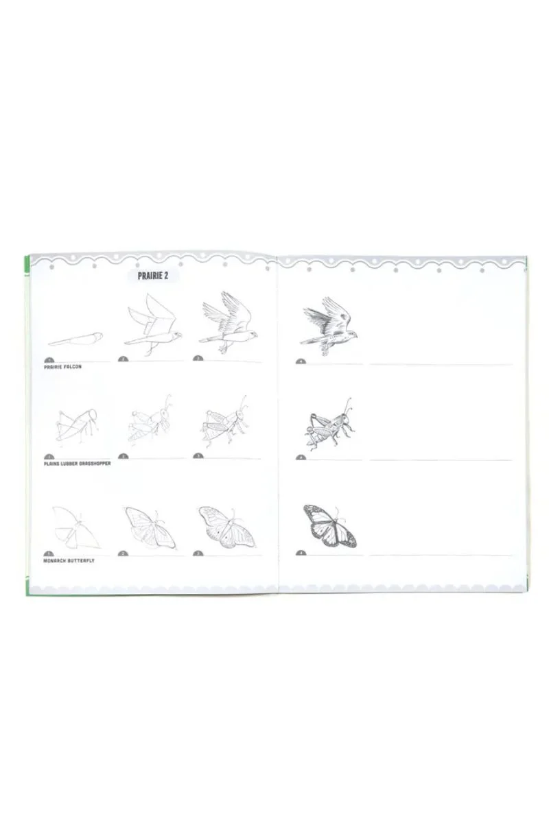 Learn to Draw Bugs, Birds, & Butterflies With Stickers - Image 3