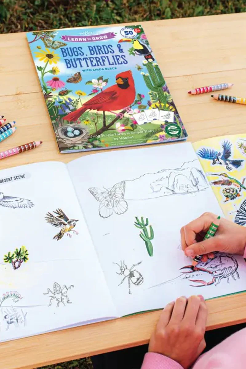 Learn to Draw Bugs, Birds, & Butterflies With Stickers - Image 4