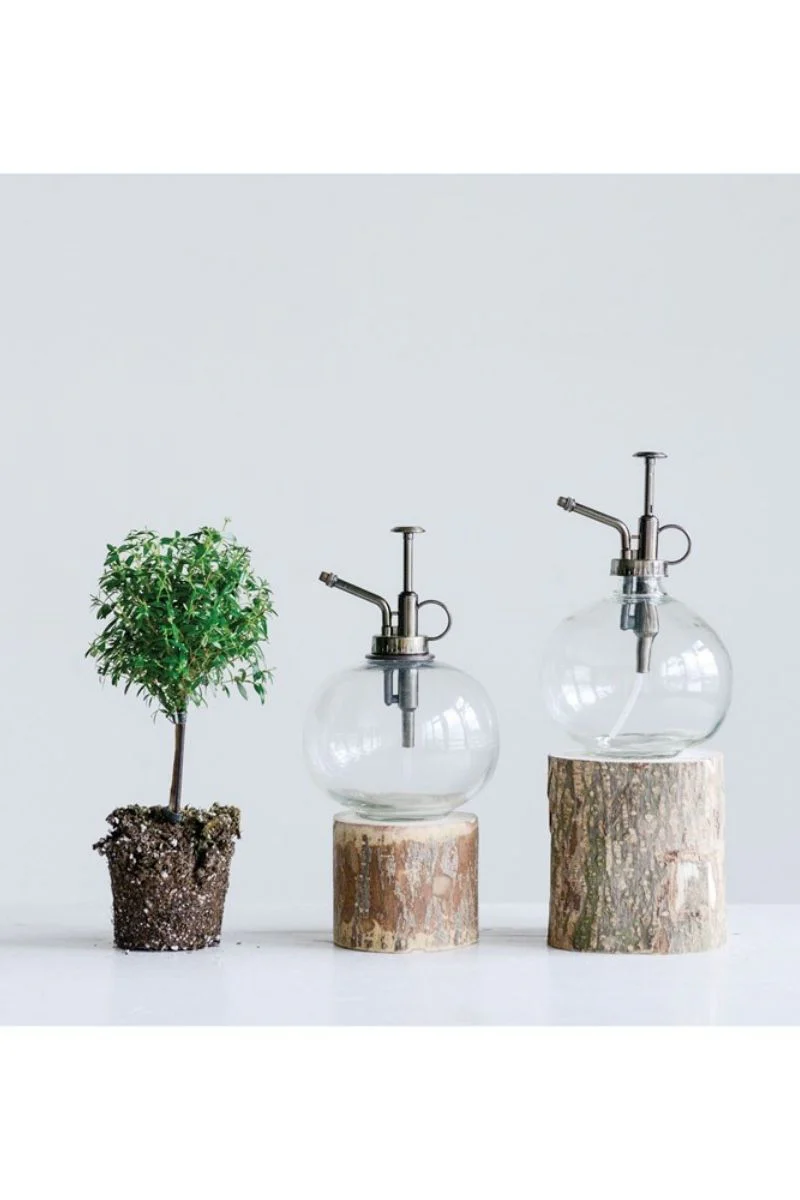 Glass Plant Mister - Image 2