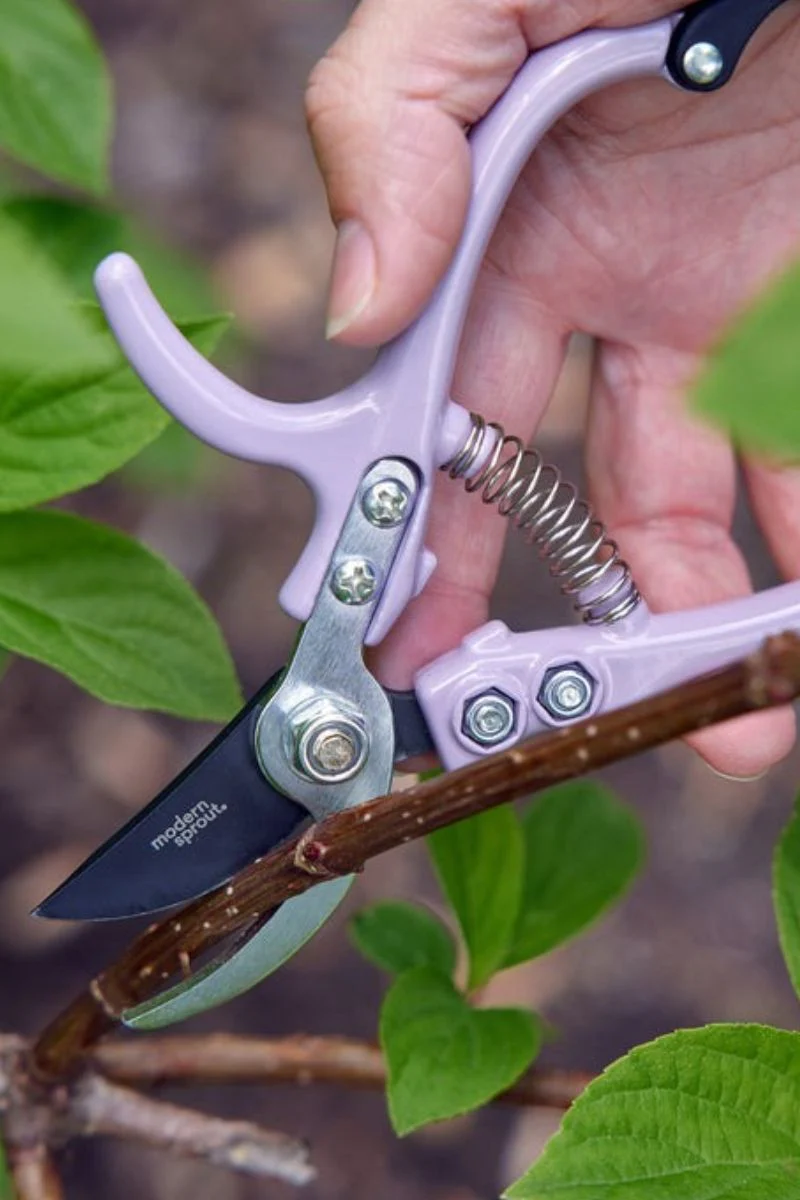 Modern Sprout Pruners Lavender - Image 2