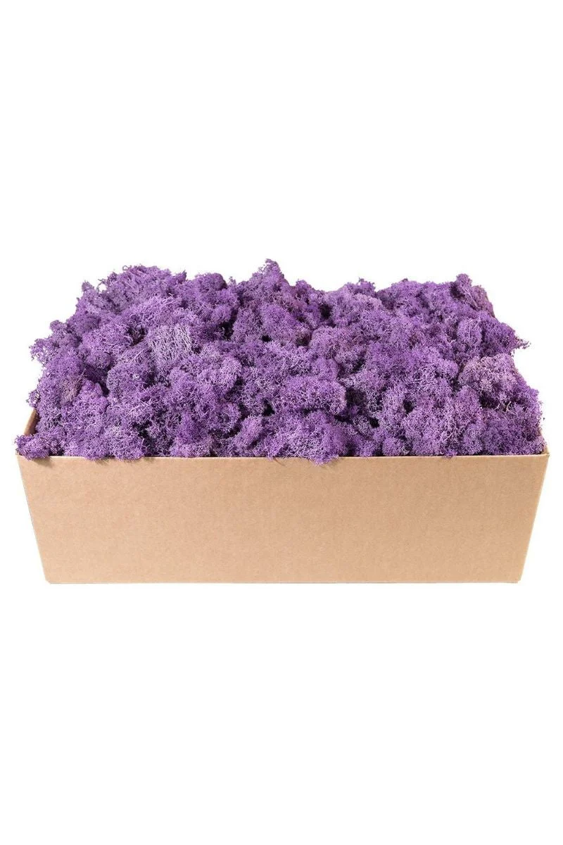 SuperMoss Reindeer Moss Lavender 2 oz - Image 2