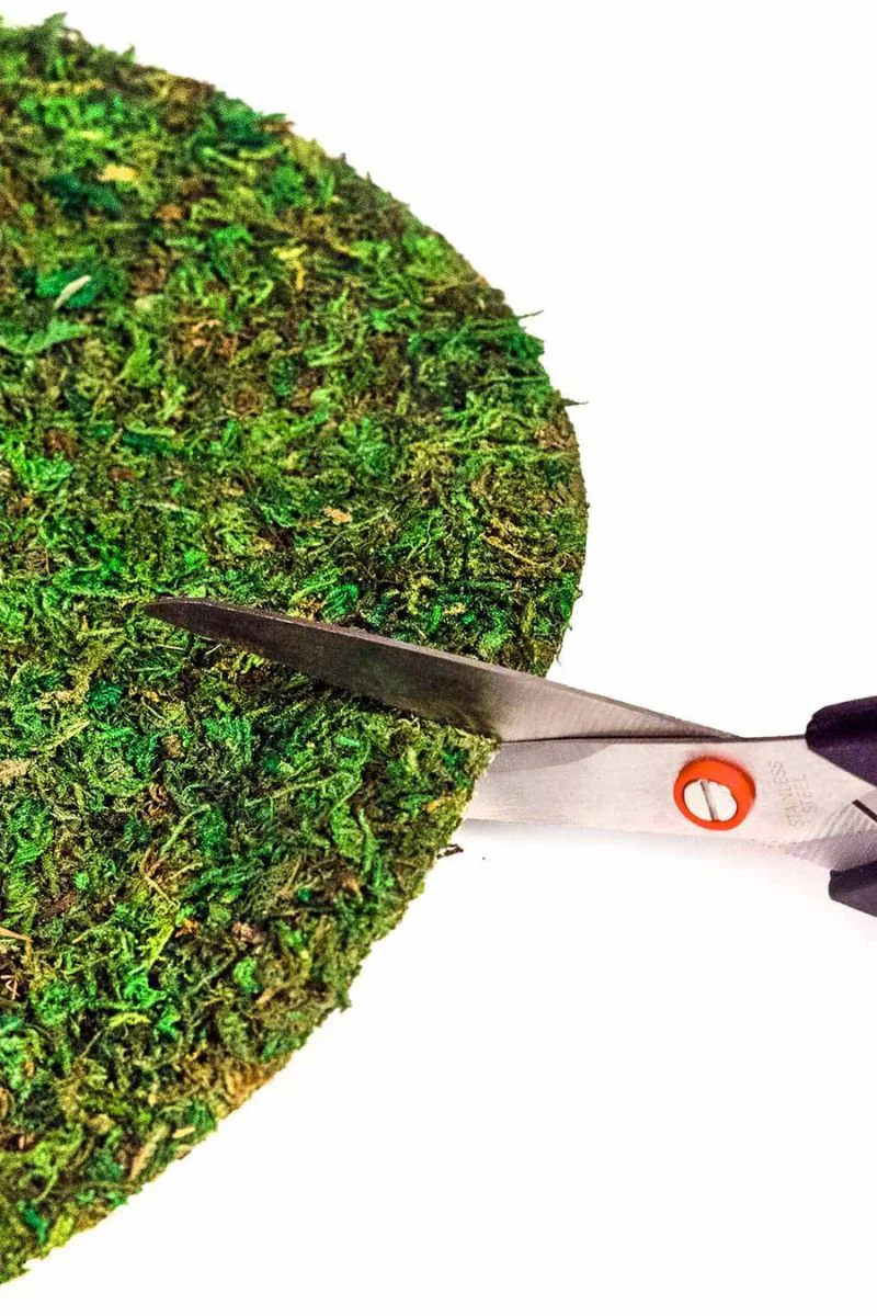 SuperMoss Instant Green Soil Toppers 14" Round 3 Pack - Image 3